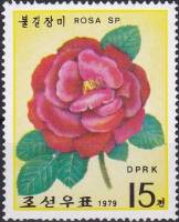 (1979-014) Марка Северная Корея "Красная роза"   Розы III Θ